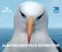 albatrosbanner